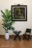 Cây Dừa cảnh trang trí nội thất